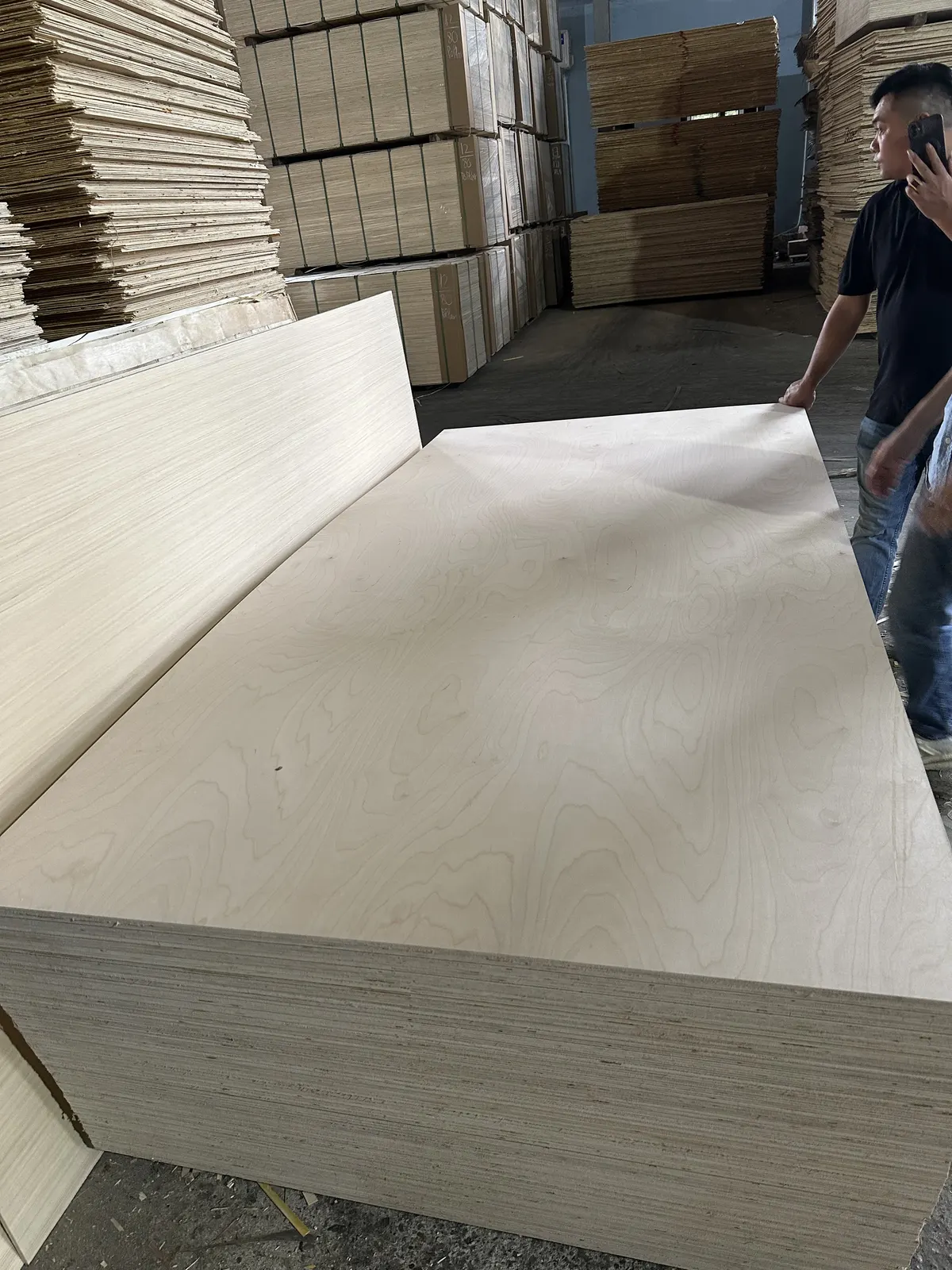 Birch plywood stack