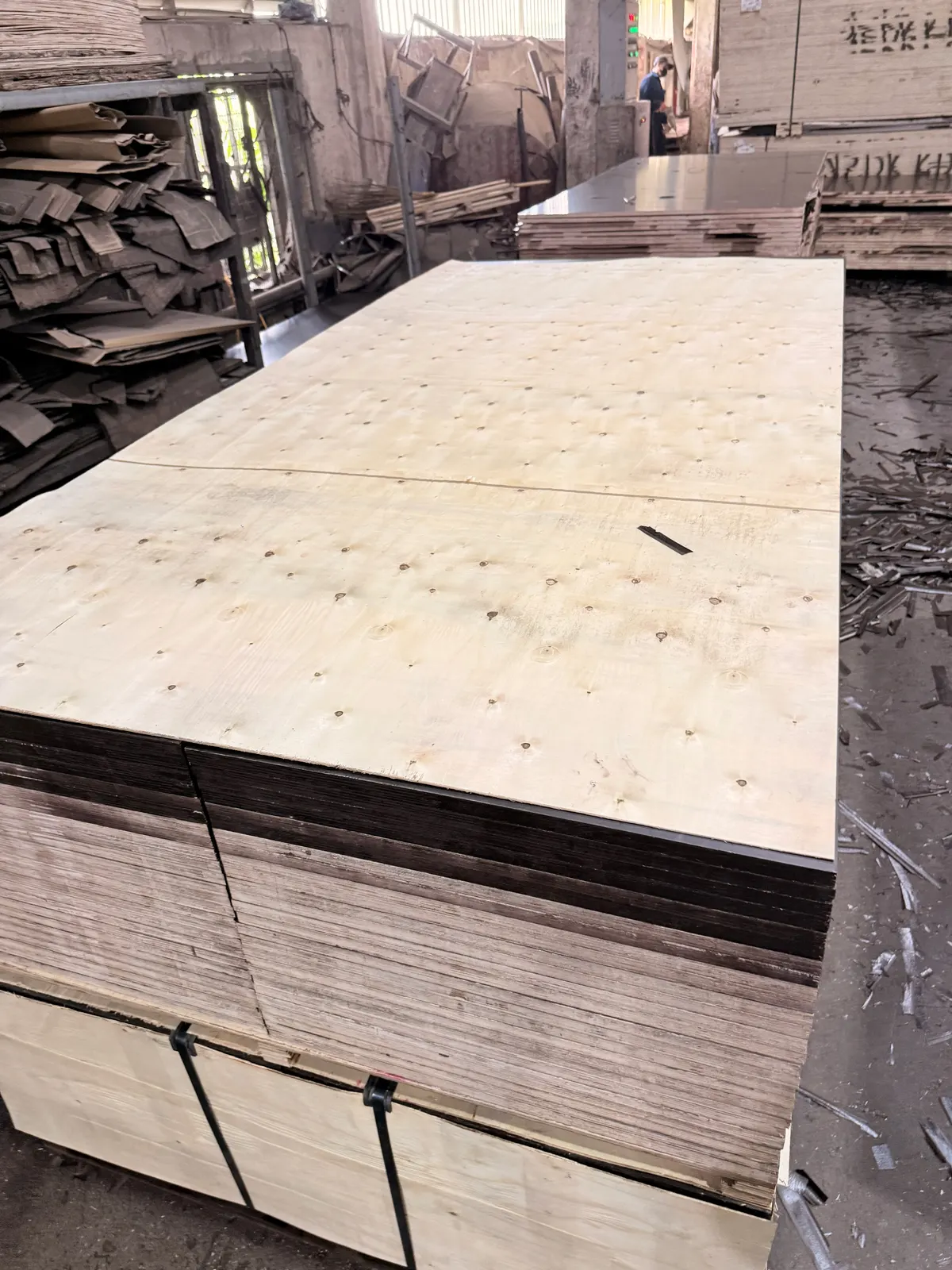 Plywood packs ready for export