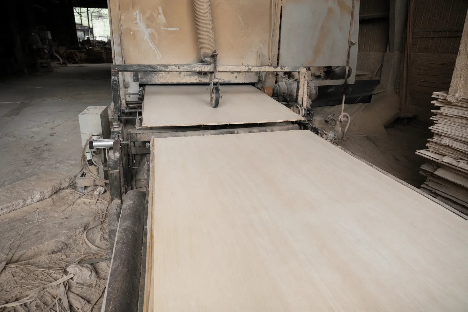 Natural plywood production line