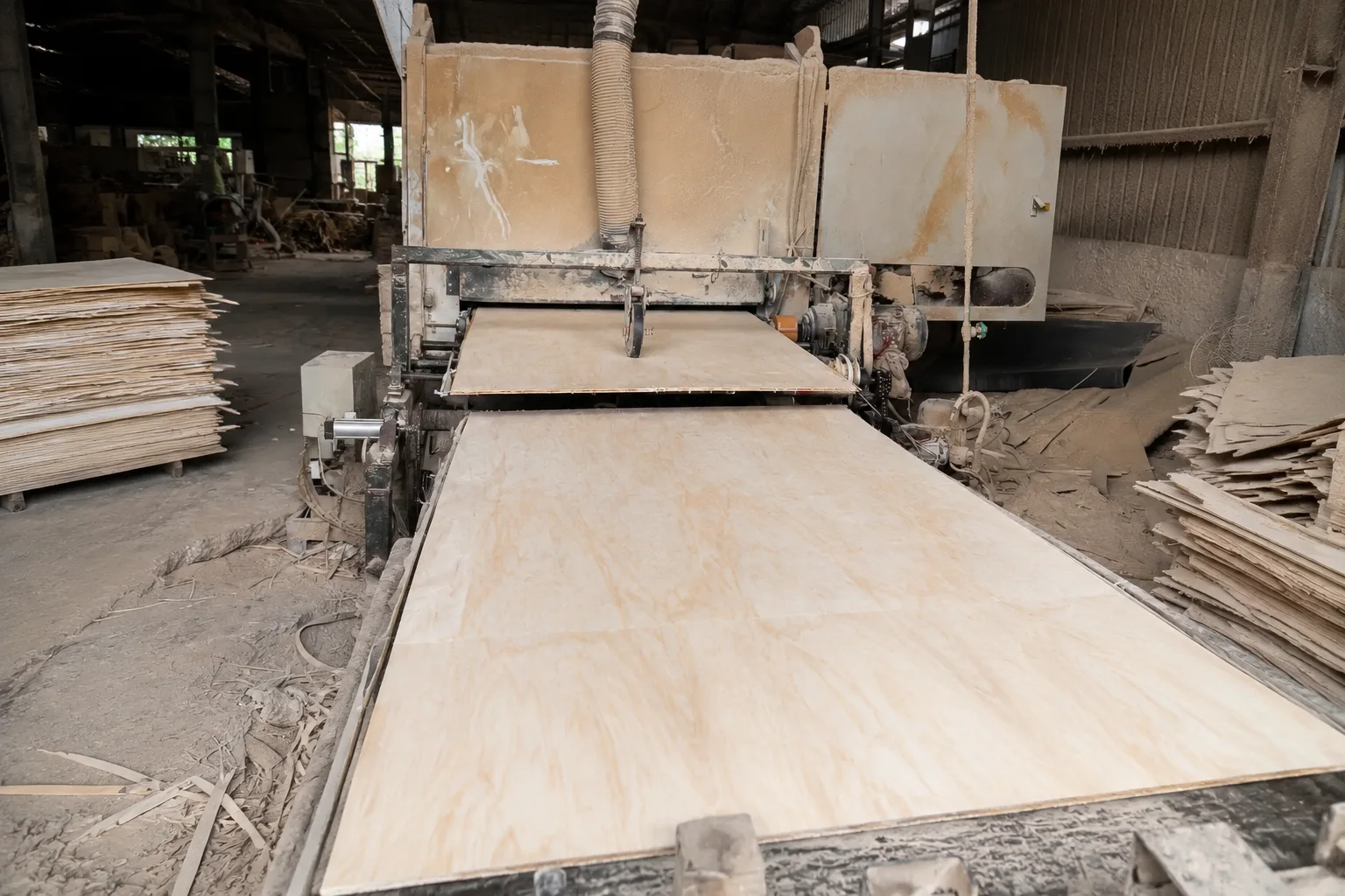 Natural plywood processing line