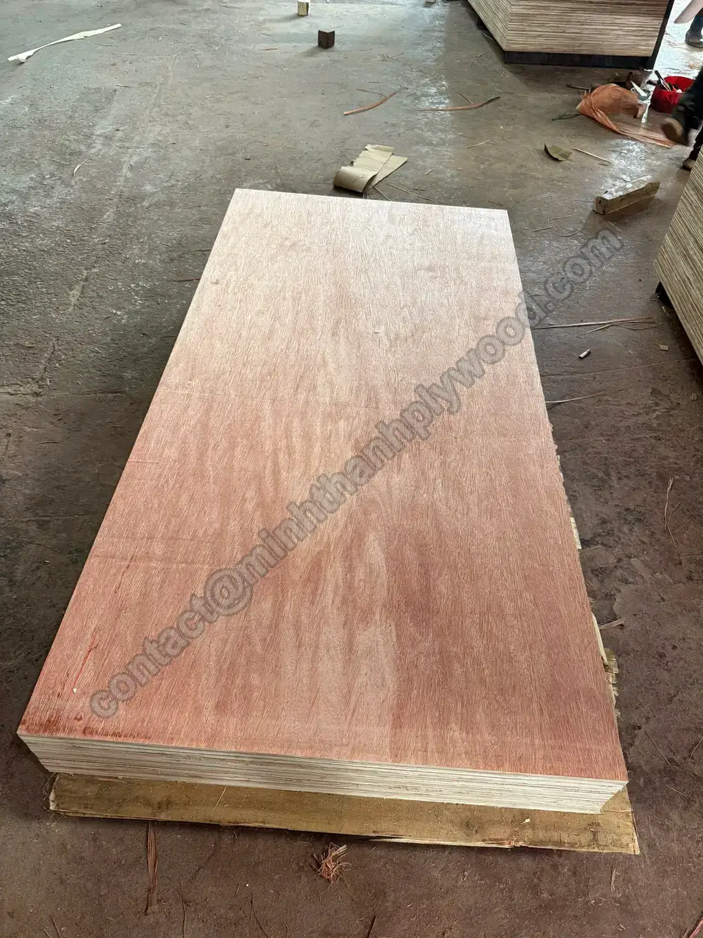 Hele Bintangor-multiplexplaat met roodbruin dekfineer op een pallet op de werkplaatsvloer