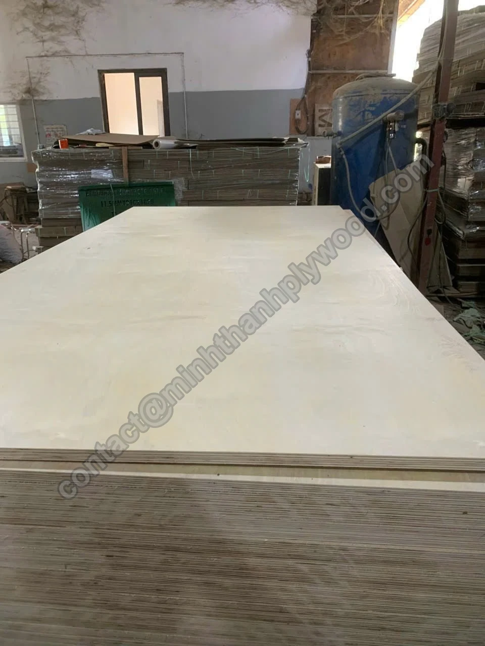 Pannello intero con facce in betulla su un pacco alto, faccia chiara sopra e bordo multistrato sotto