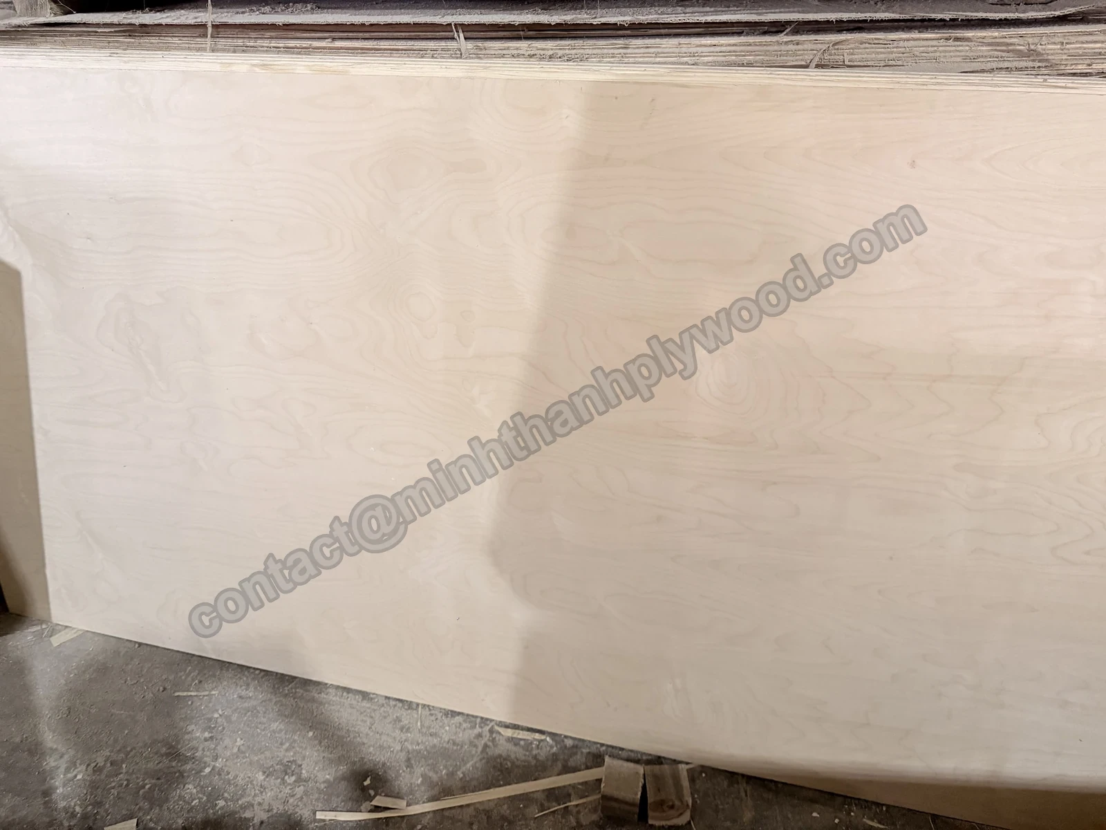 Pannello di compensato di betulla in piedi sul lato lungo, con faccia chiara a figura ondulata