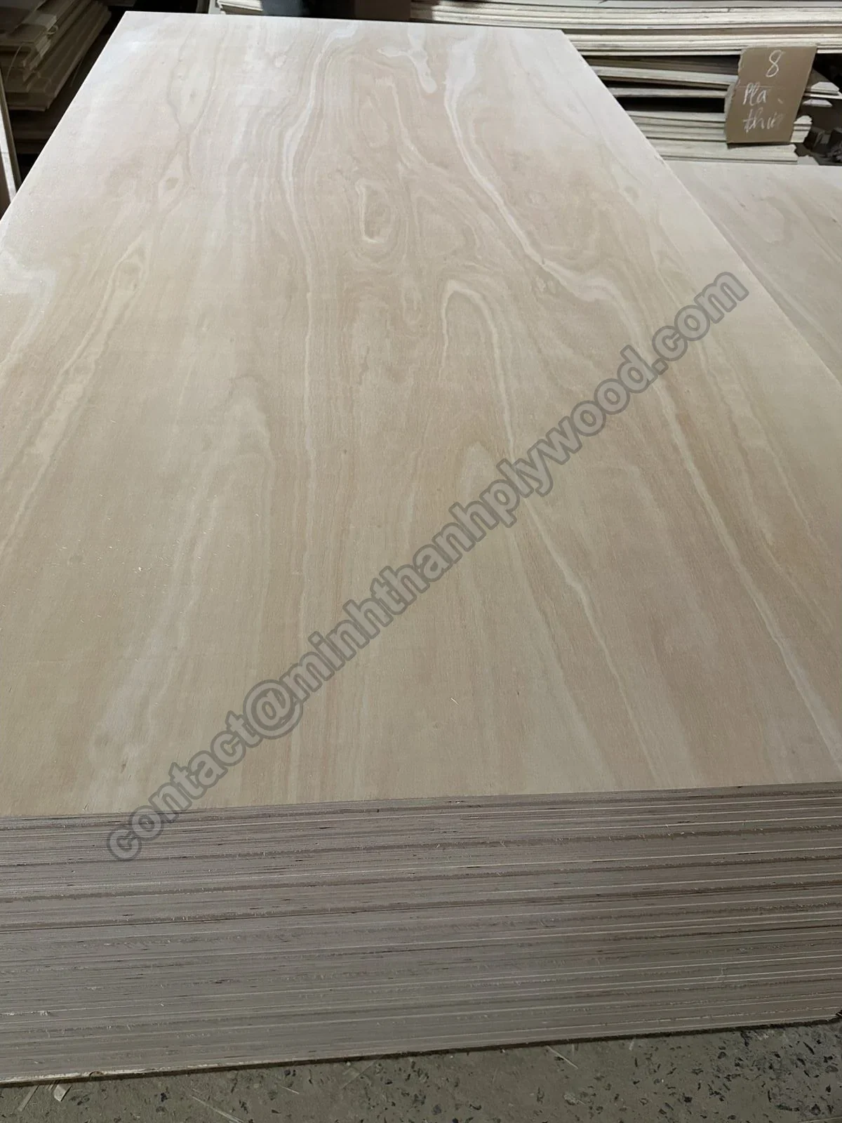 Pannello con facce in eucalipto venate e bordo stratificato
