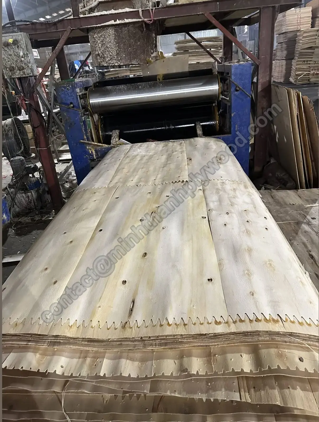 Placages d’âme assemblés près d’une machine à rouleaux, joints d’extrémité dentés et fils de maintien visibles