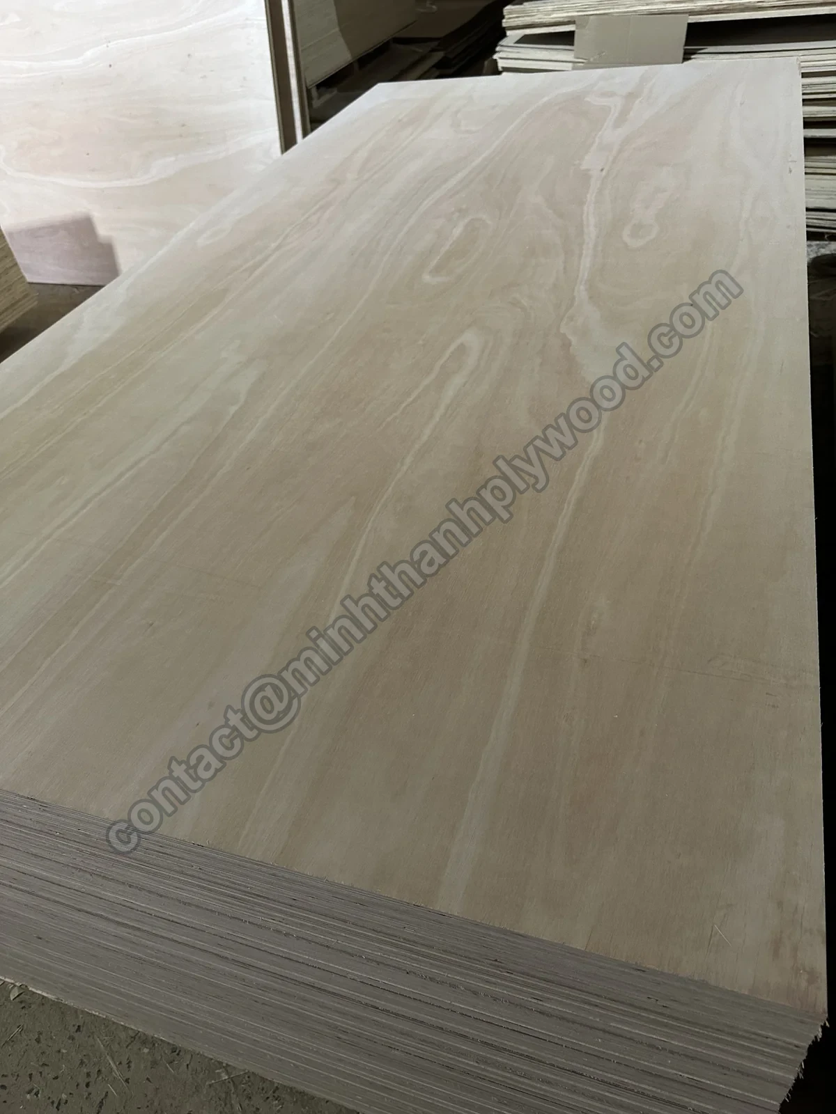 Parement eucalyptus au dessin clair et ondulant sur un colis, chants stratifiés des panneaux visibles dessous
