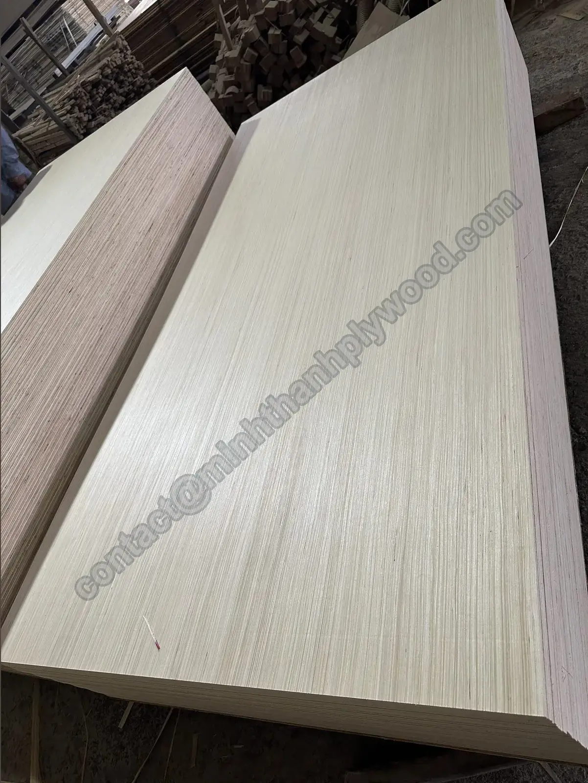 Pannello di compensato EV in piedi sul bordo, con faccia a venatura diritta e anima stratificata a vista