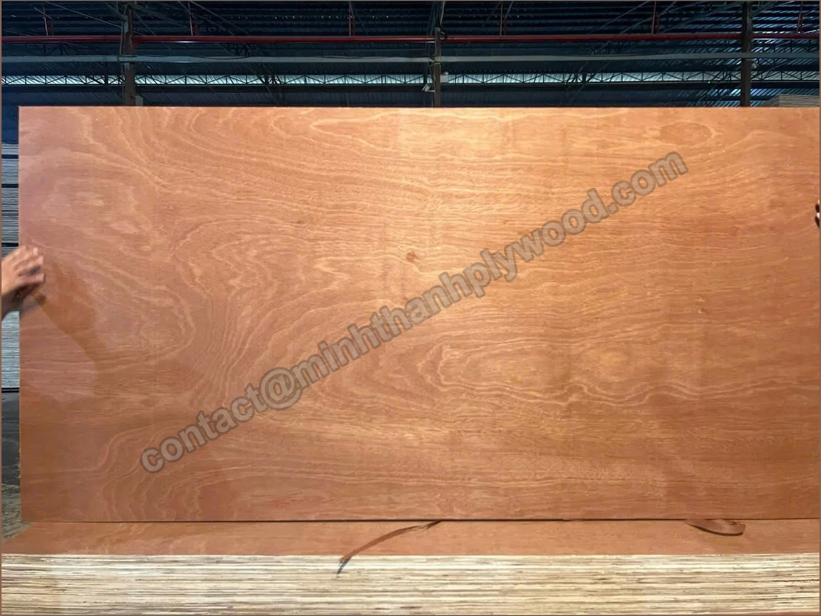 Whole red gurjan-faced plywood sheet held upright in a warehouse