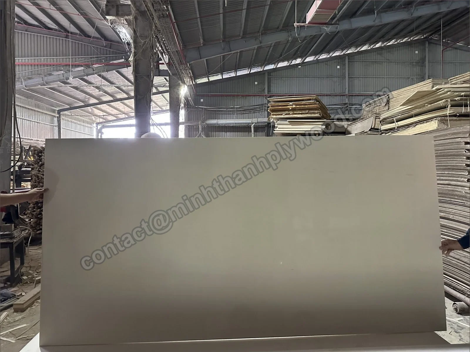 Whole white poplar-faced plywood sheet held upright in a production hall