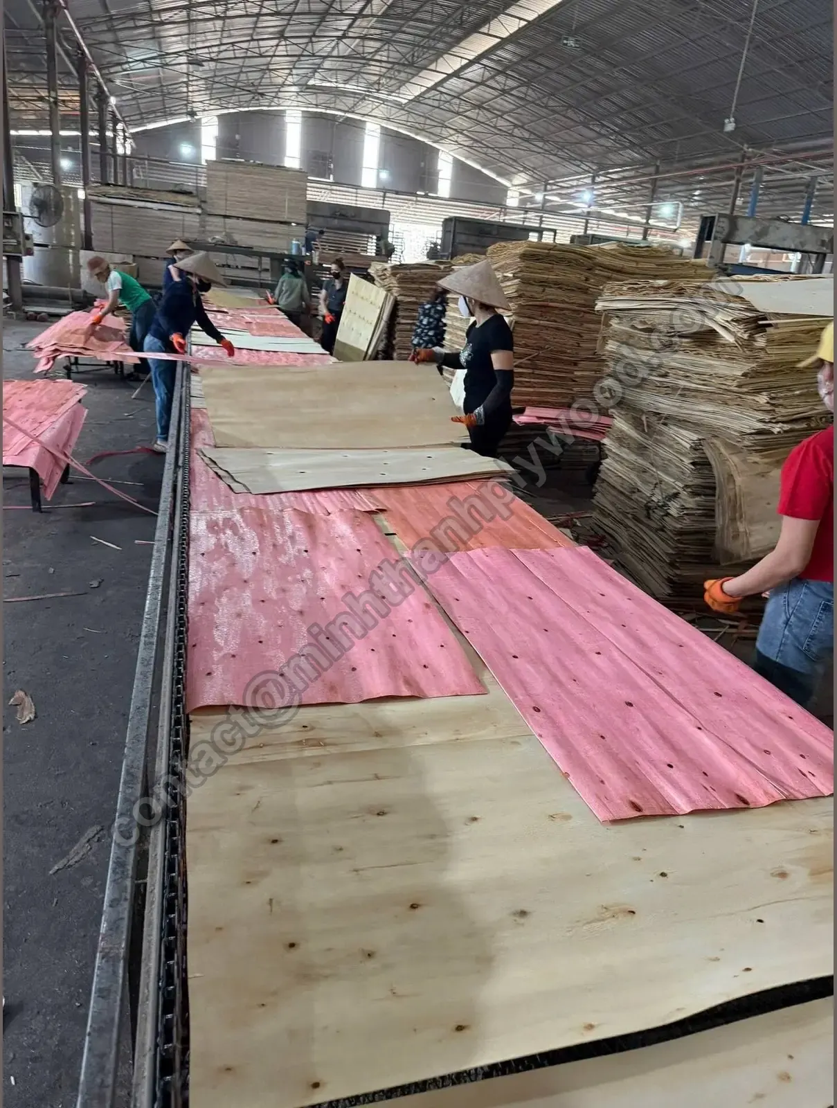 Workers laying glue-coated red core veneers and pale cross veneers by hand on a long lay-up conveyor