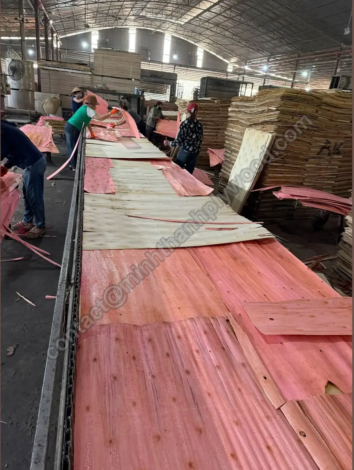 Kernfineren op een productietransportband naast fineerstapels