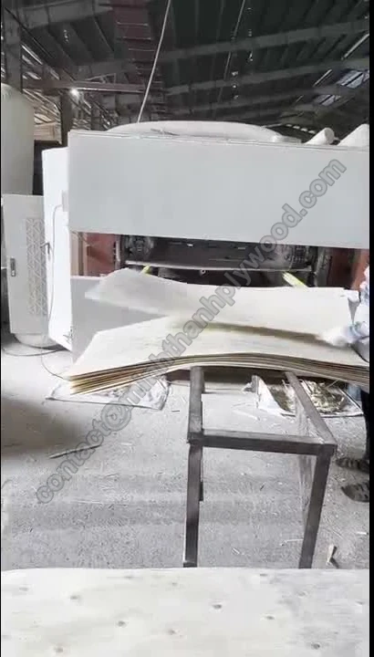 Panneau d’âme passant dans une ponceuse