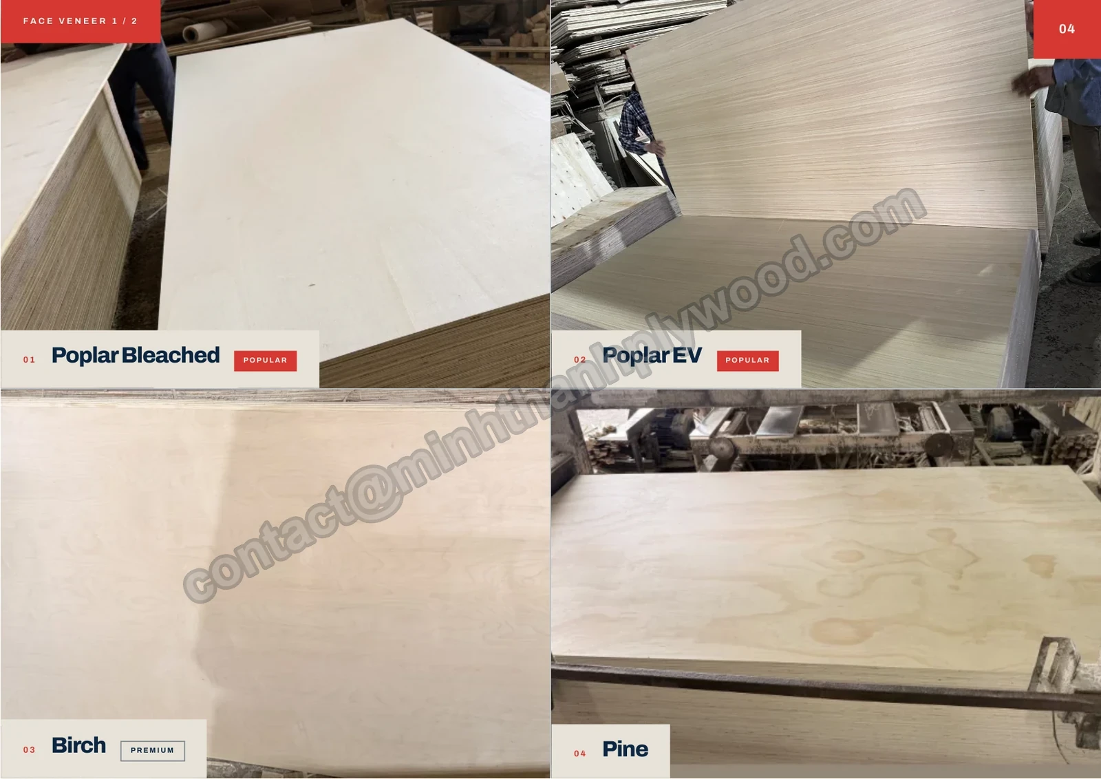 Page 4 of the Minh Thanh plywood catalogue 2026: faces 1/2