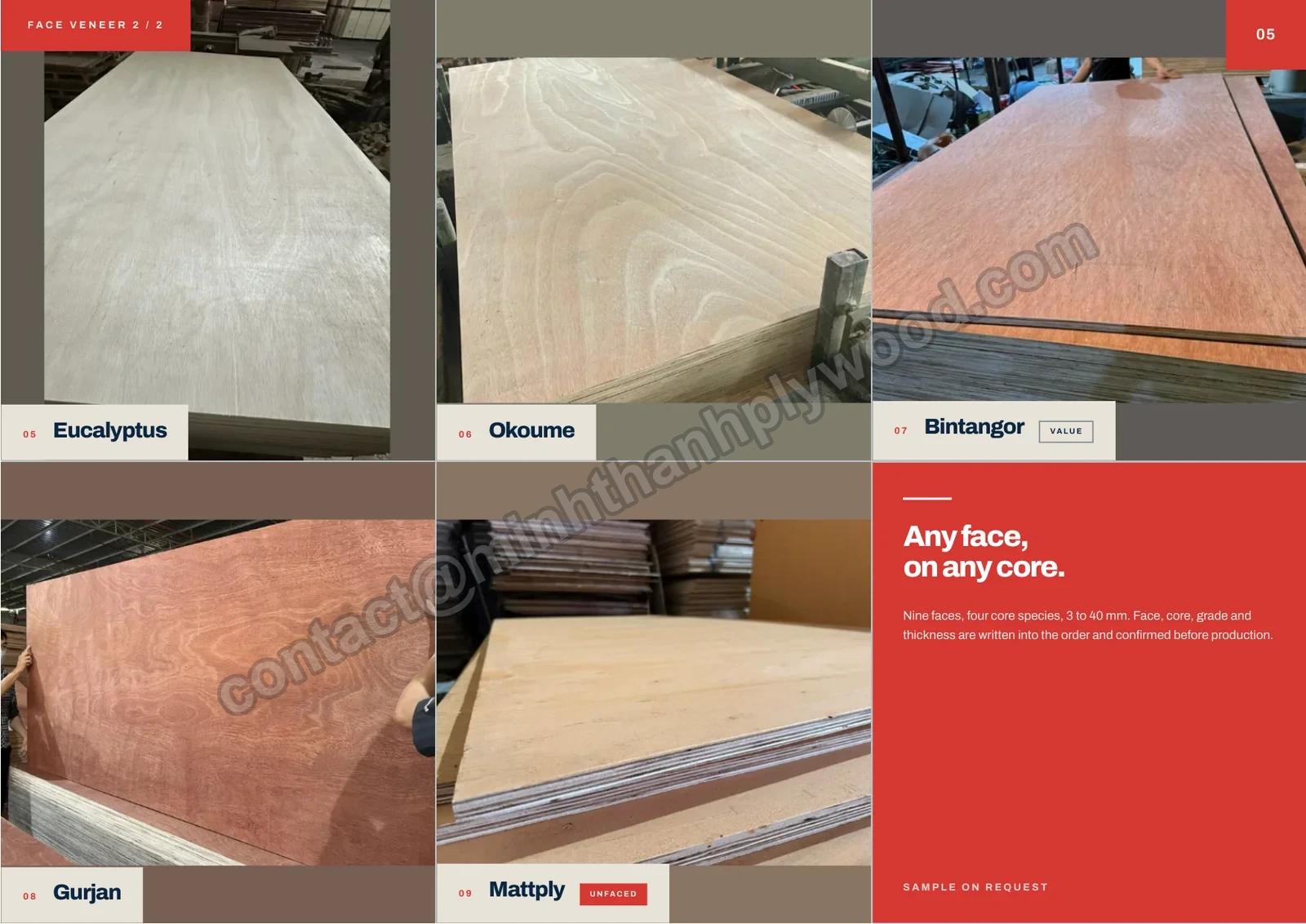 Page 5 of the Minh Thanh plywood catalogue 2026: faces 2/2