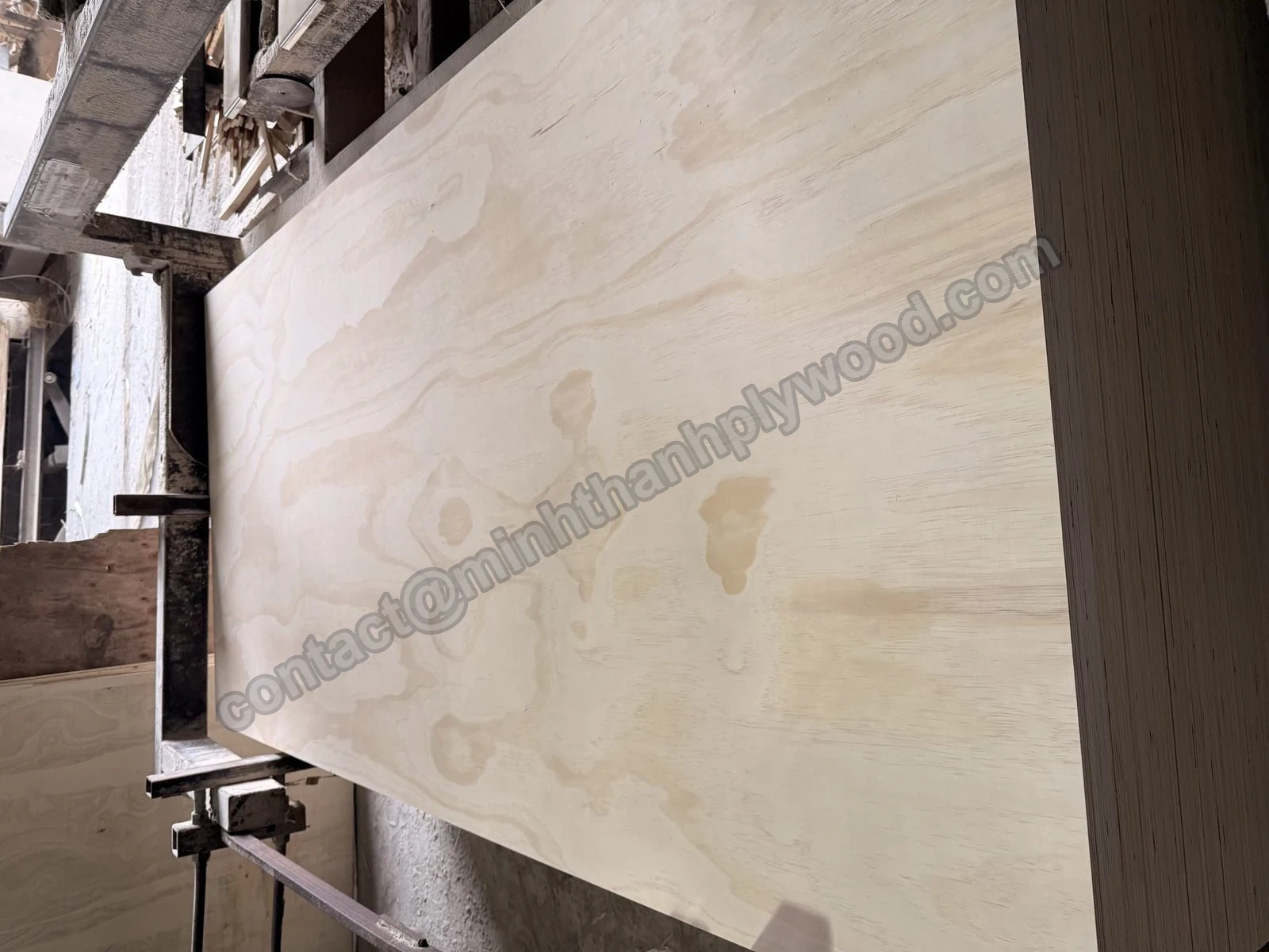Pannello con facce in pino sulla linea di levigatura calibrata