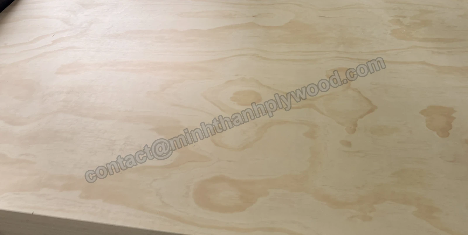 Detail grenenfineer met honingkleurige jaarringen en vaste noesten