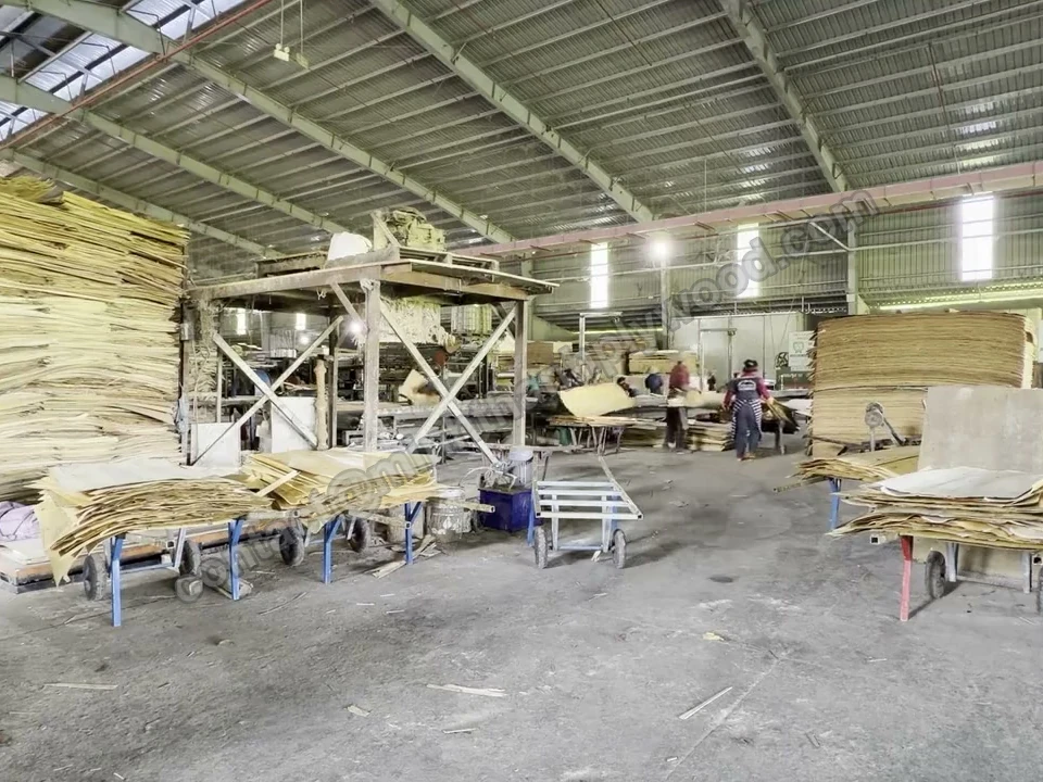 Plywood production hall with stacks of core veneer at the lay-up stations
