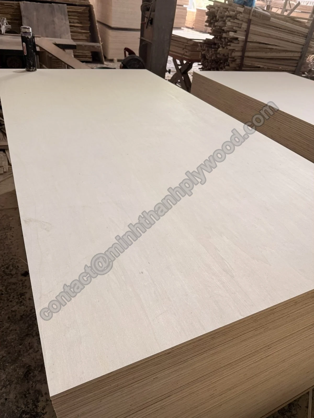 White poplar-faced plywood panel lying on a stack, whole face visible
