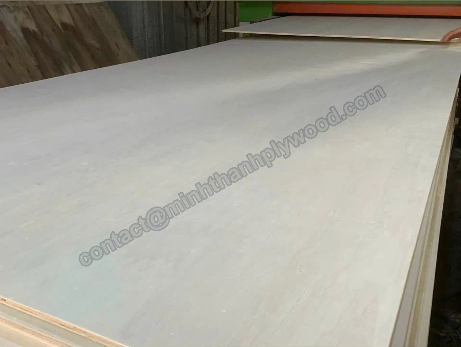Sanded white poplar-faced plywood panel on the sanding line