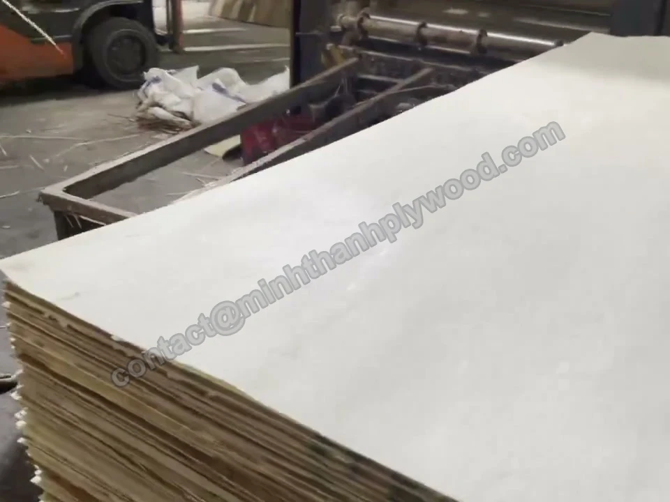 Pale face veneer laid on a stack of calibrated plywood cores for lamination