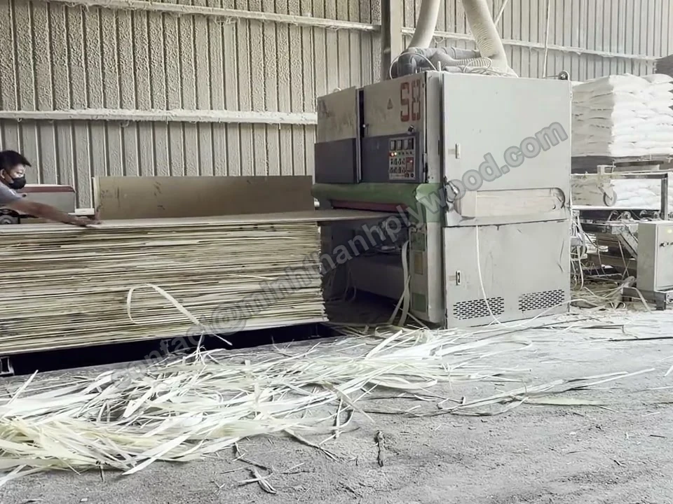 Plywood panels fed into a wide-belt finish sanding machine