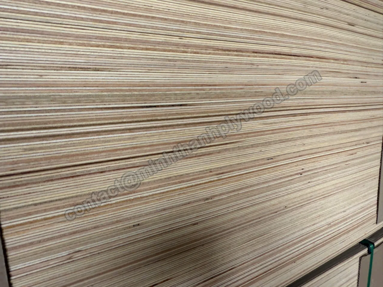 Long side of a plywood export pack showing the squared edges of many sheets and a green strap