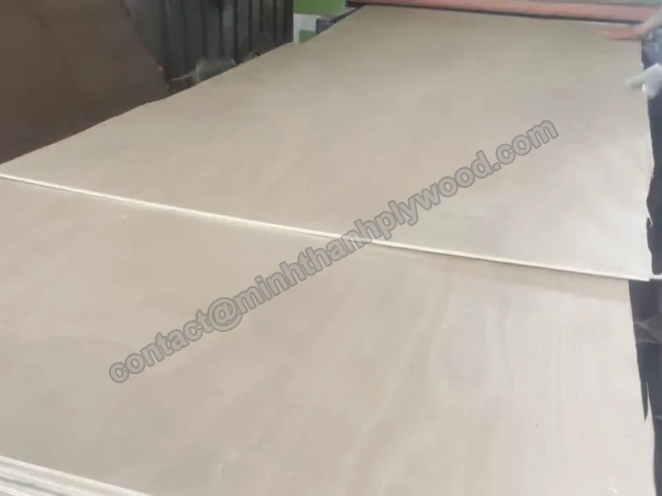 Sanded plywood panels leaving a wide-belt sanding machine
