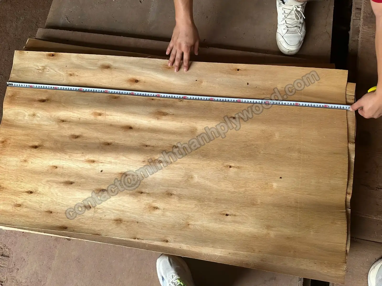 Core veneer sheet measured across its width with a tape measure