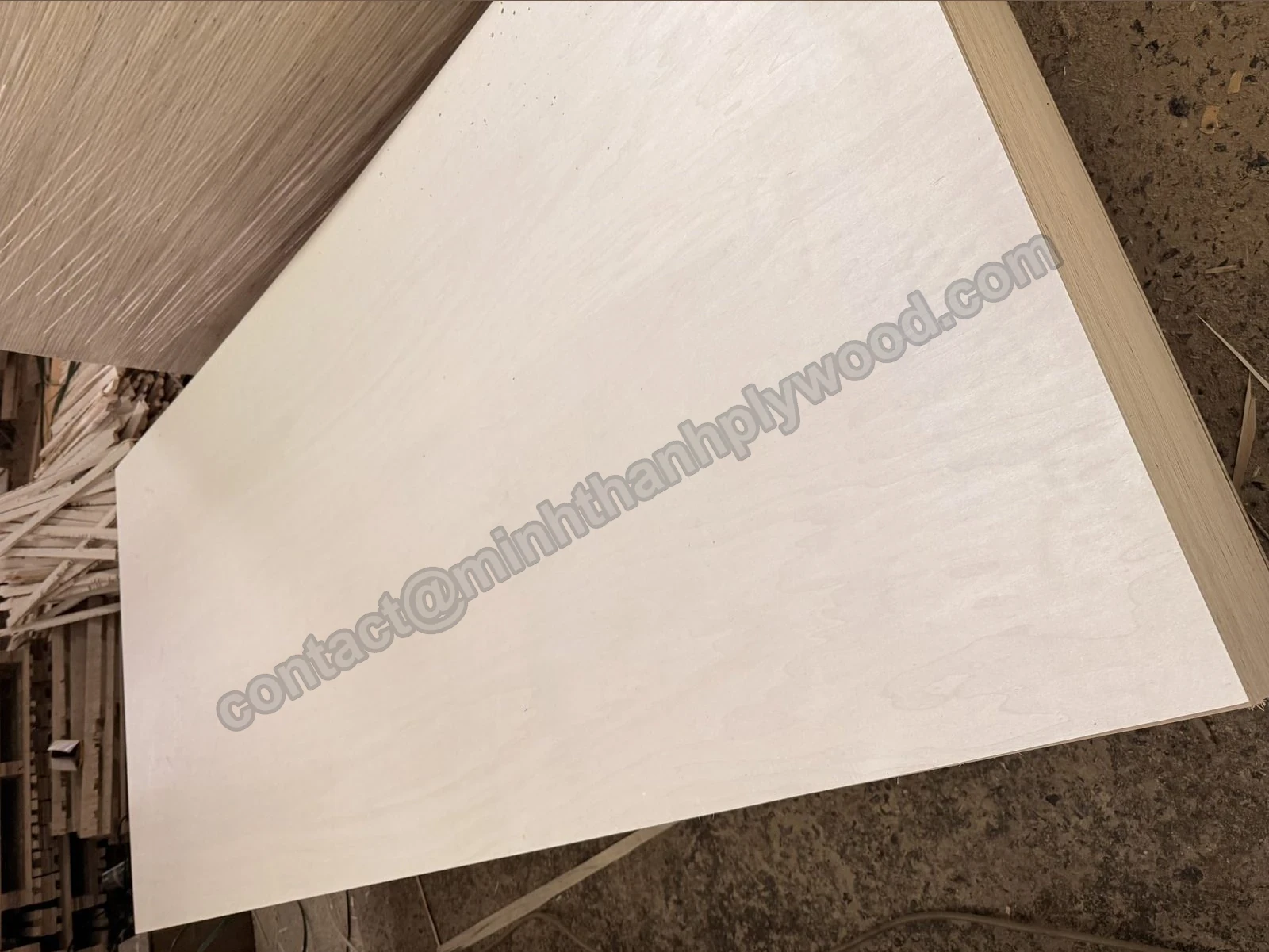 Pannello intero di compensato con facce in pioppo color crema chiaro