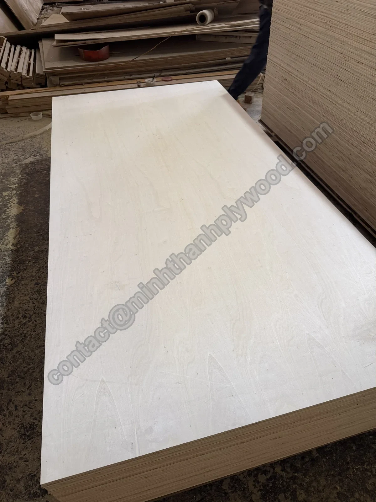 Pannello intero con facce in pioppo e anima in Styrax bianco