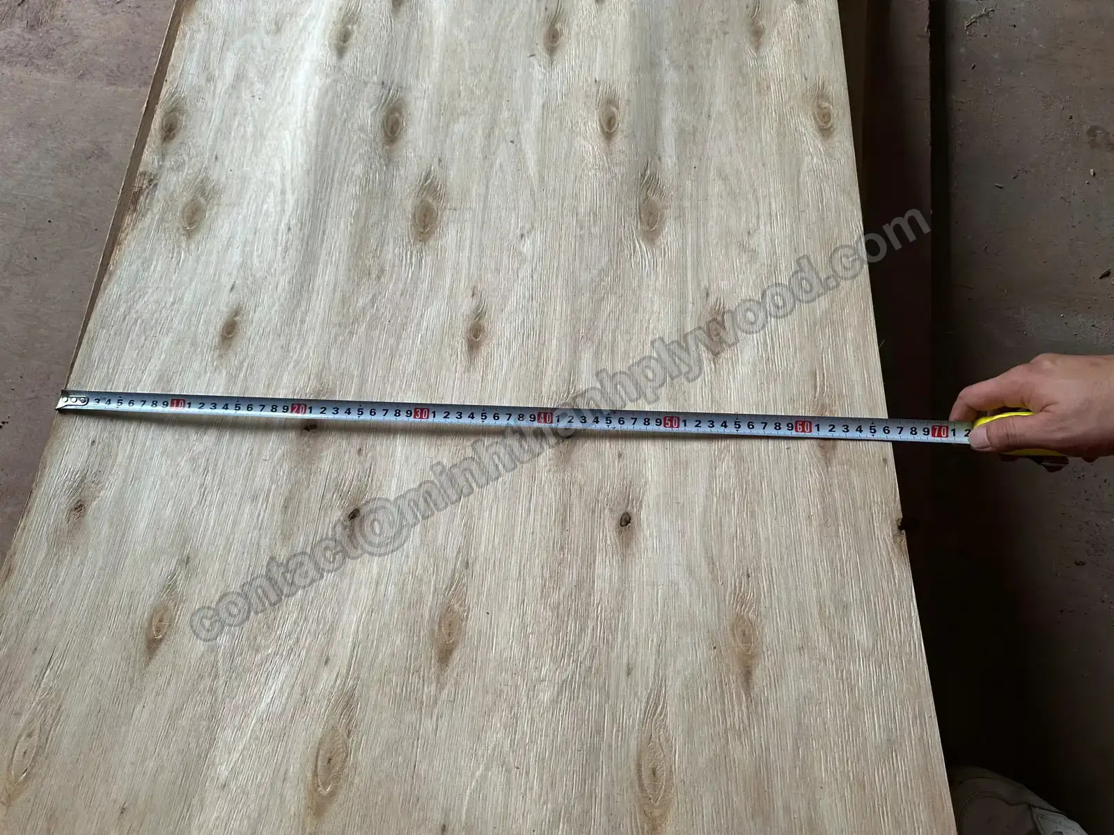 Steel tape measure stretched across a core veneer sheet