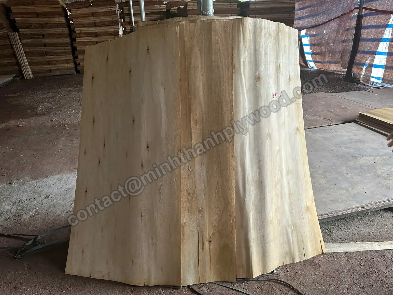 Upright stack of pale core veneer sheets with a red chalk grade mark